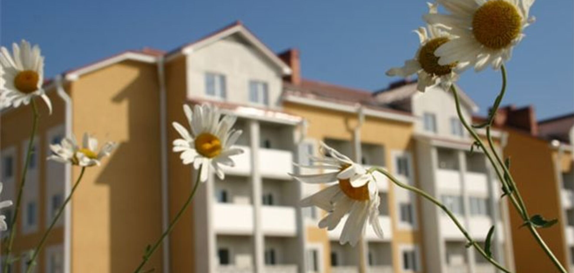 Удар по долларовому рынку недвижимости