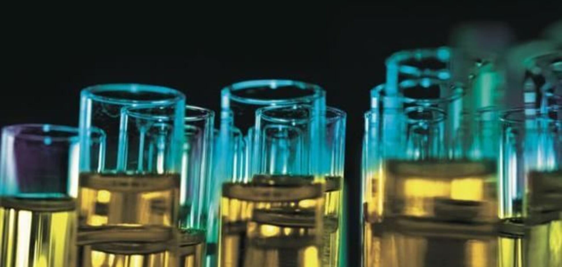 Корейцы начали производить бензин из искусственно выведенных бактерий