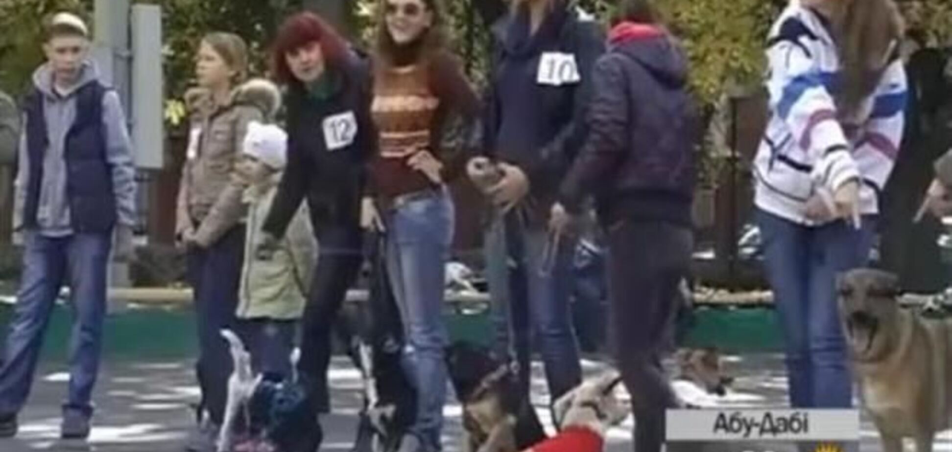 В Кировограде выбрали лучшего беспородного пса