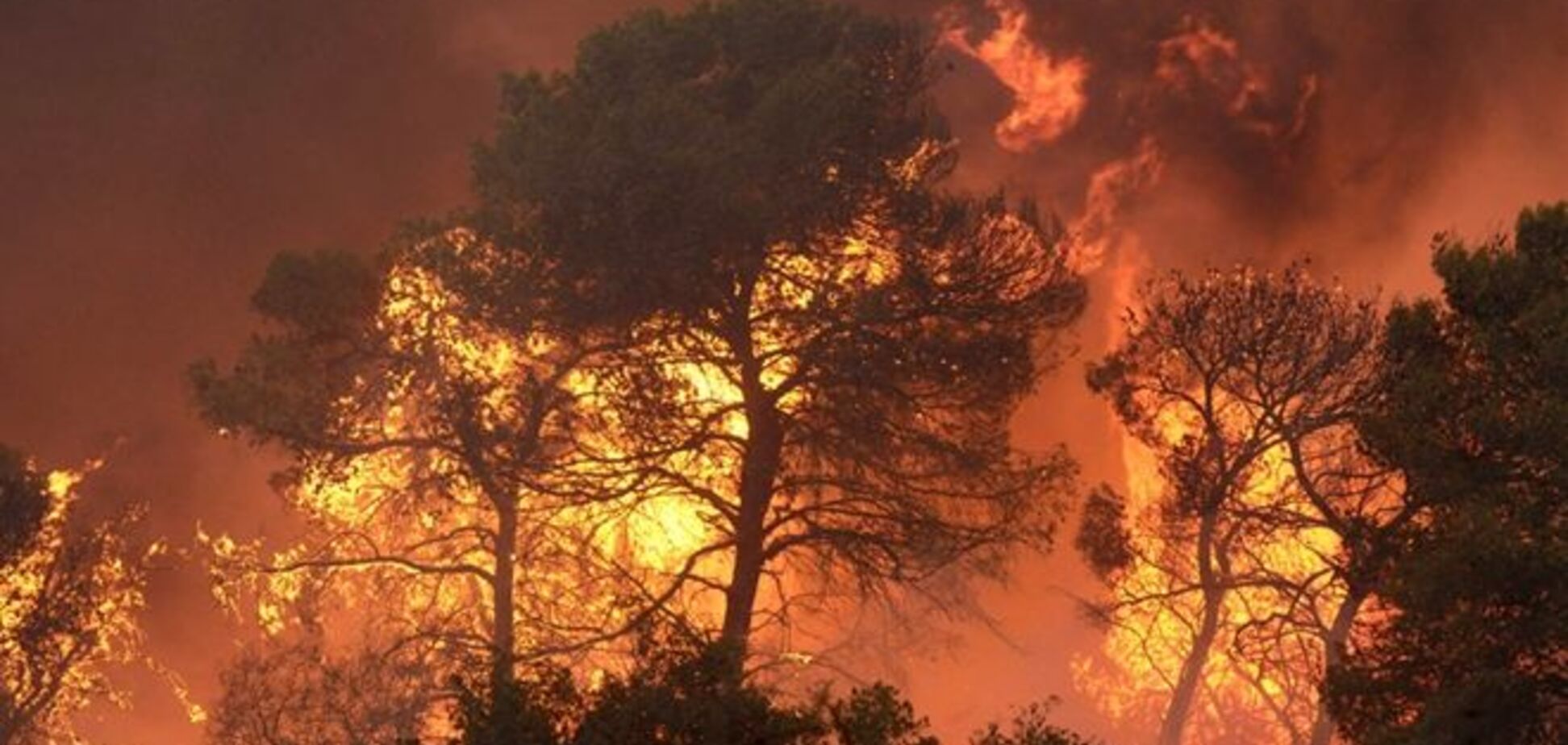 Масштабный лесной пожар вспыхнул в Хорватии