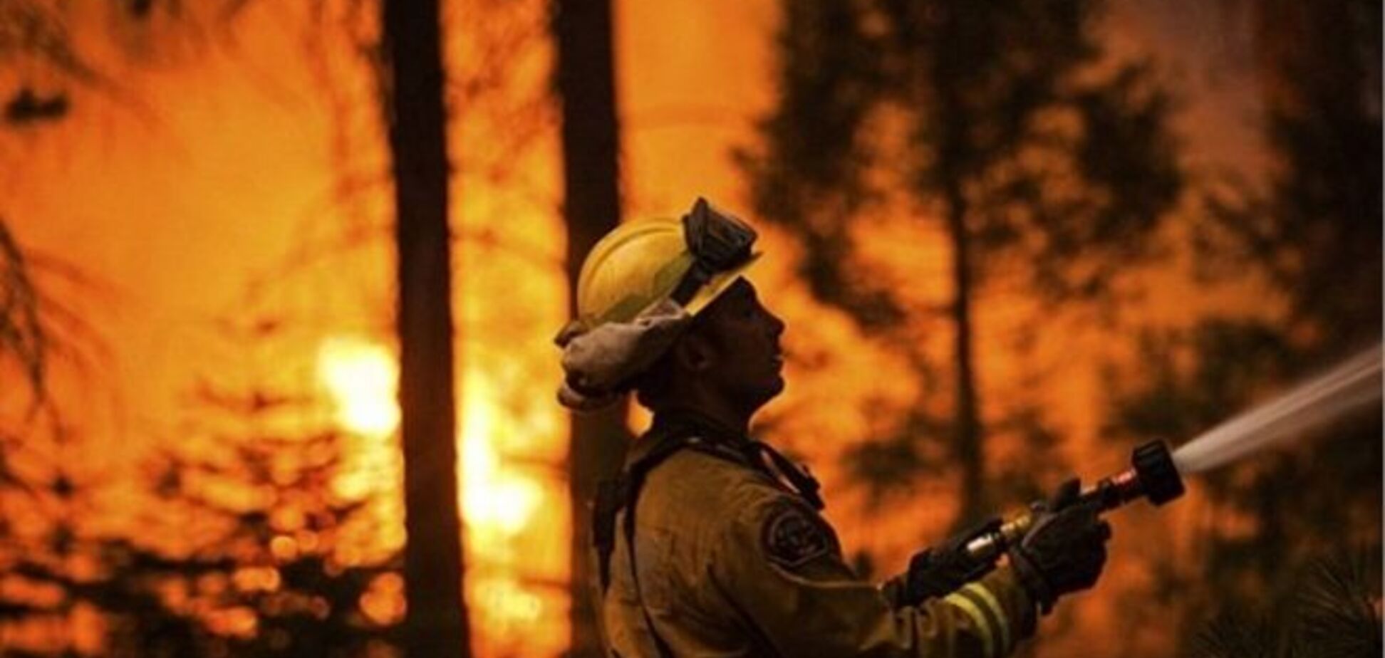 Назван предполагаемый виновник масштабного пожара в Калифорнии