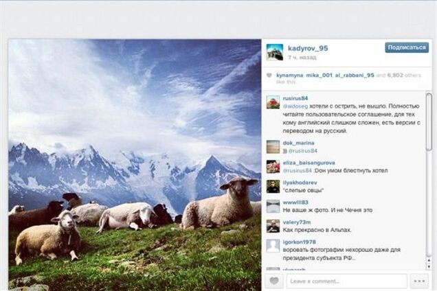 Президент Чечни вляпался в скандал с овцами