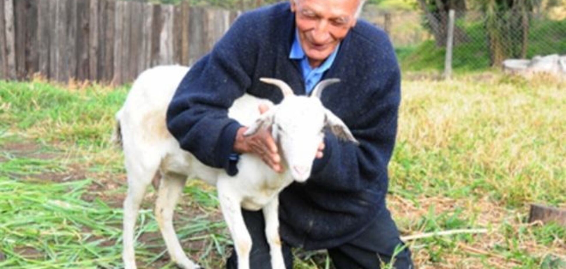 Бразильский пенсионер решил жениться на козе