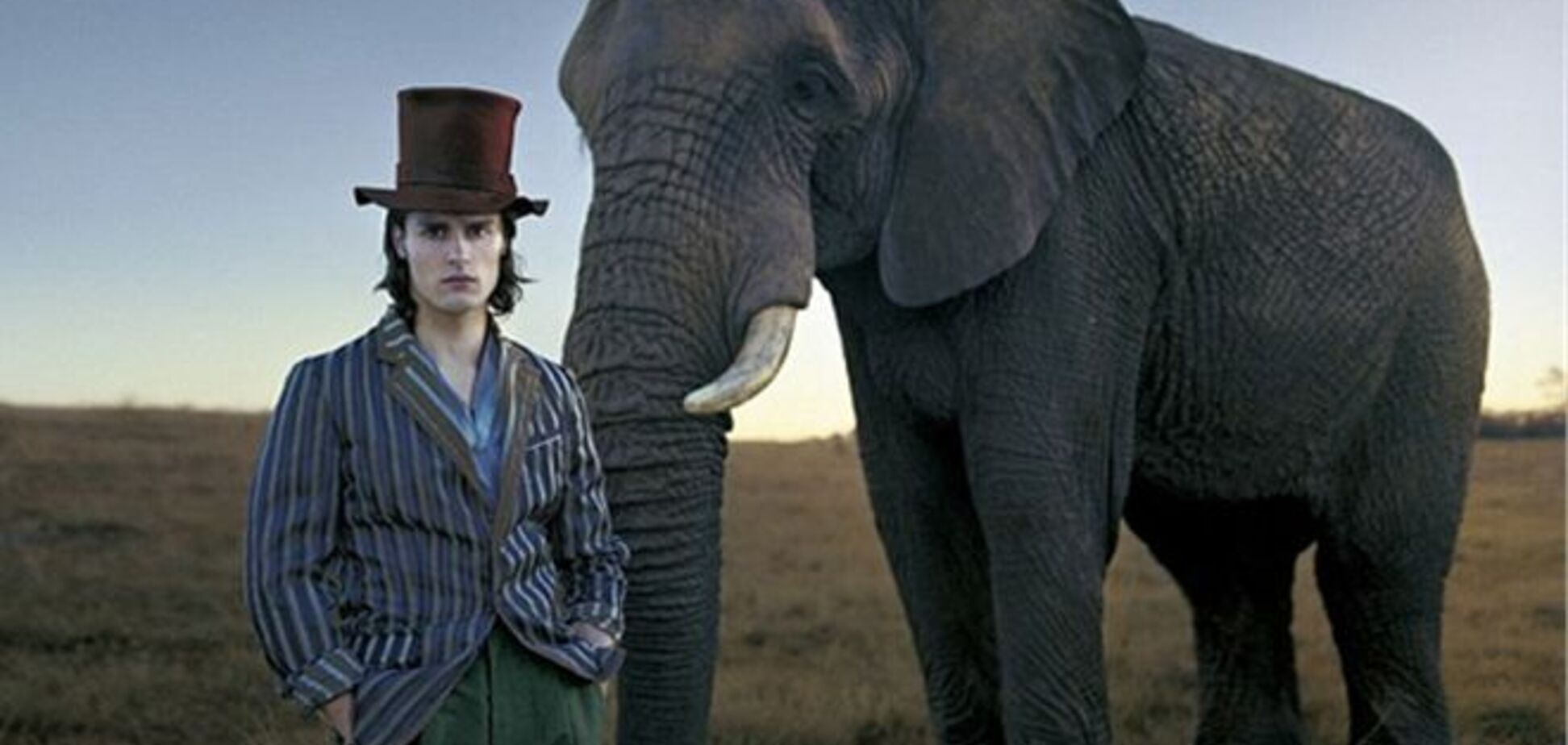 Втік з цирку слон убив літнього француза