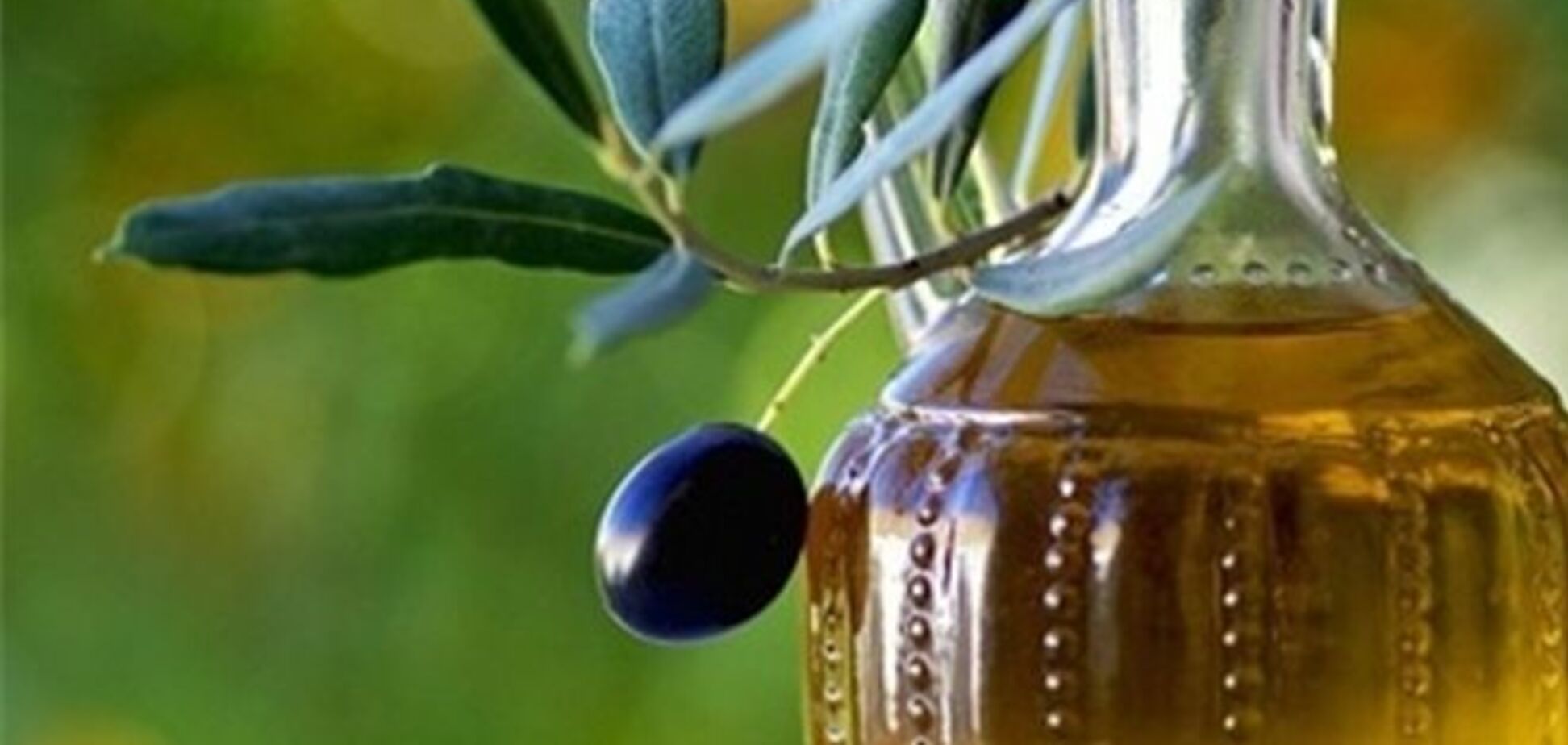 Оливковое масло спасет от старости