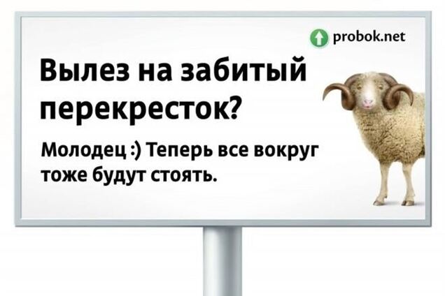 Водителей-хамов в России будут высмеивать плакатами