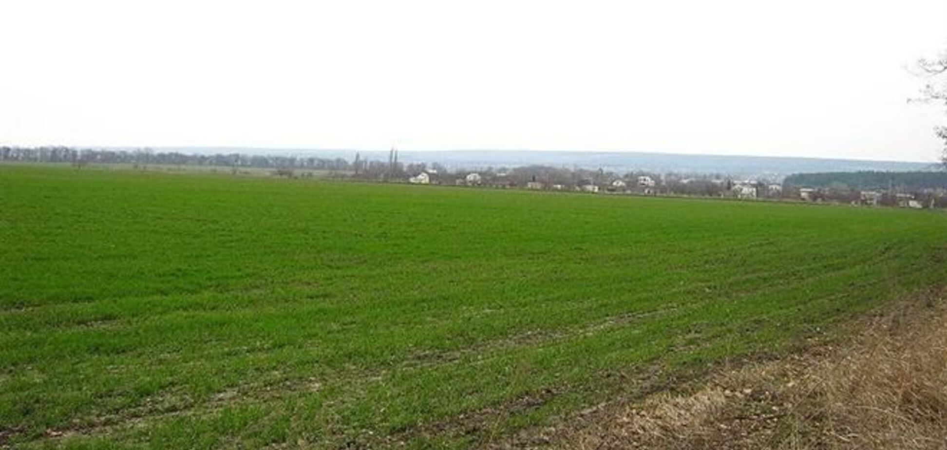 МинАПП: аграрии обработали 1 млн га под озимыми от грызунов