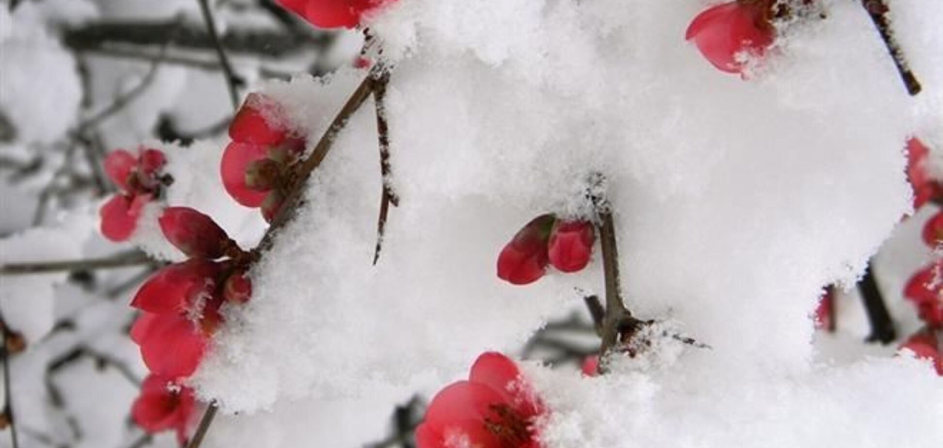 В Украине похолодает до -19