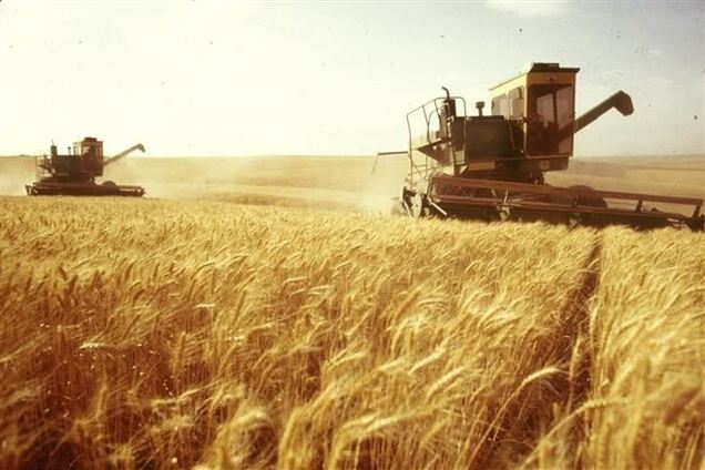 Минагрополитики: В 2013 году отгрузки зерна в декабре и ноябре были рекордными