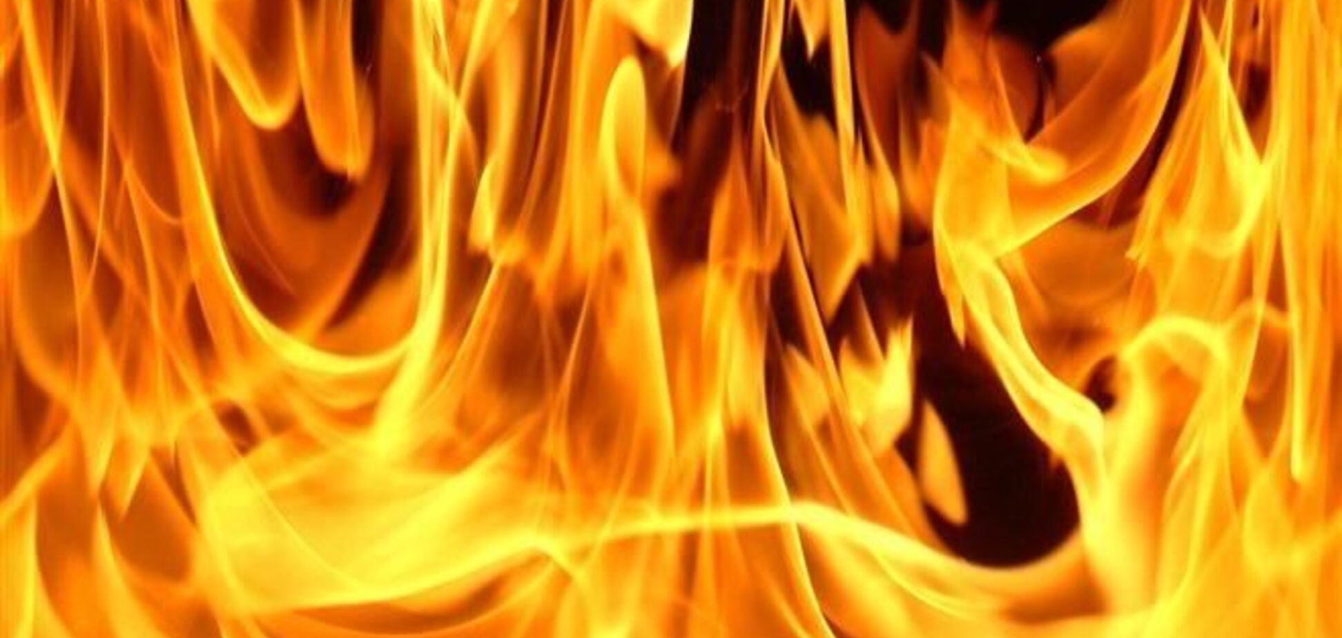 На Прикарпатье загорелся автобус с почти полусотней туристов