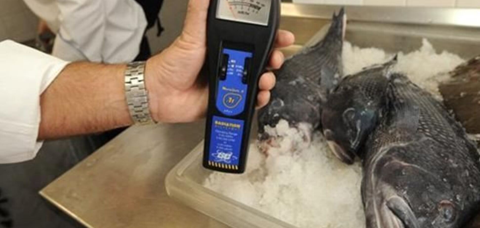 Риба біля 'Фукусіми' містить смертельну дозу радіації