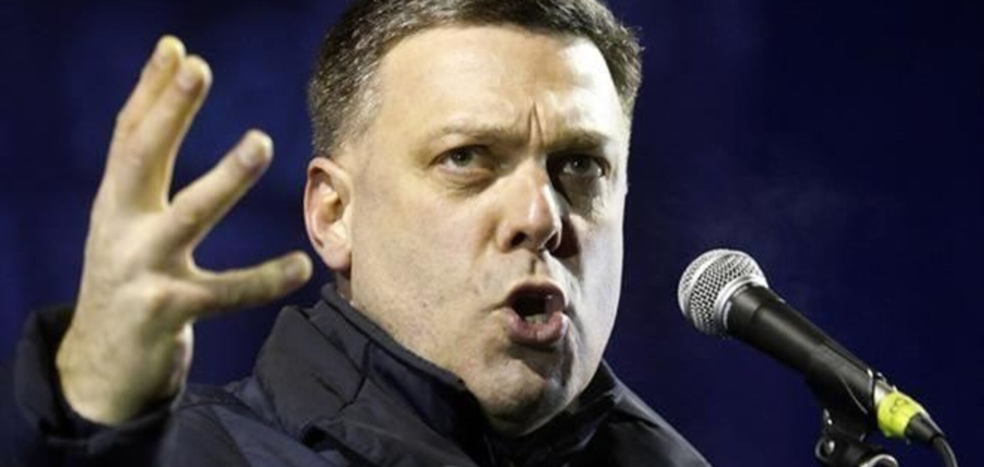 Тягнибок призвал ЕС и США поскорее ввести санкции против украинских чиновников