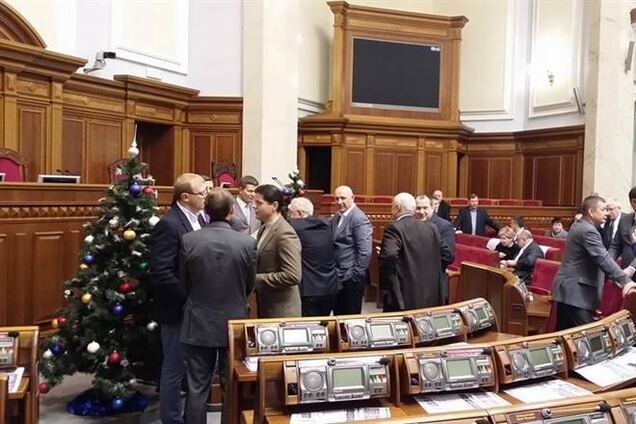 Рада проголосовала за создание комиссии по расследованию неправомерных действий правоохранителей