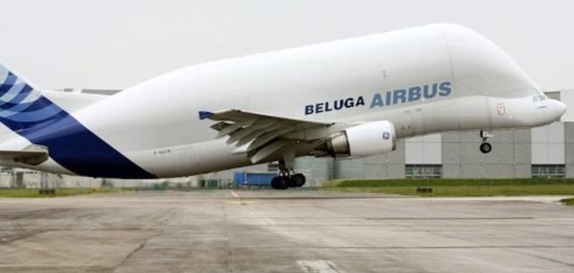 Над Европой взлетел 'кит'