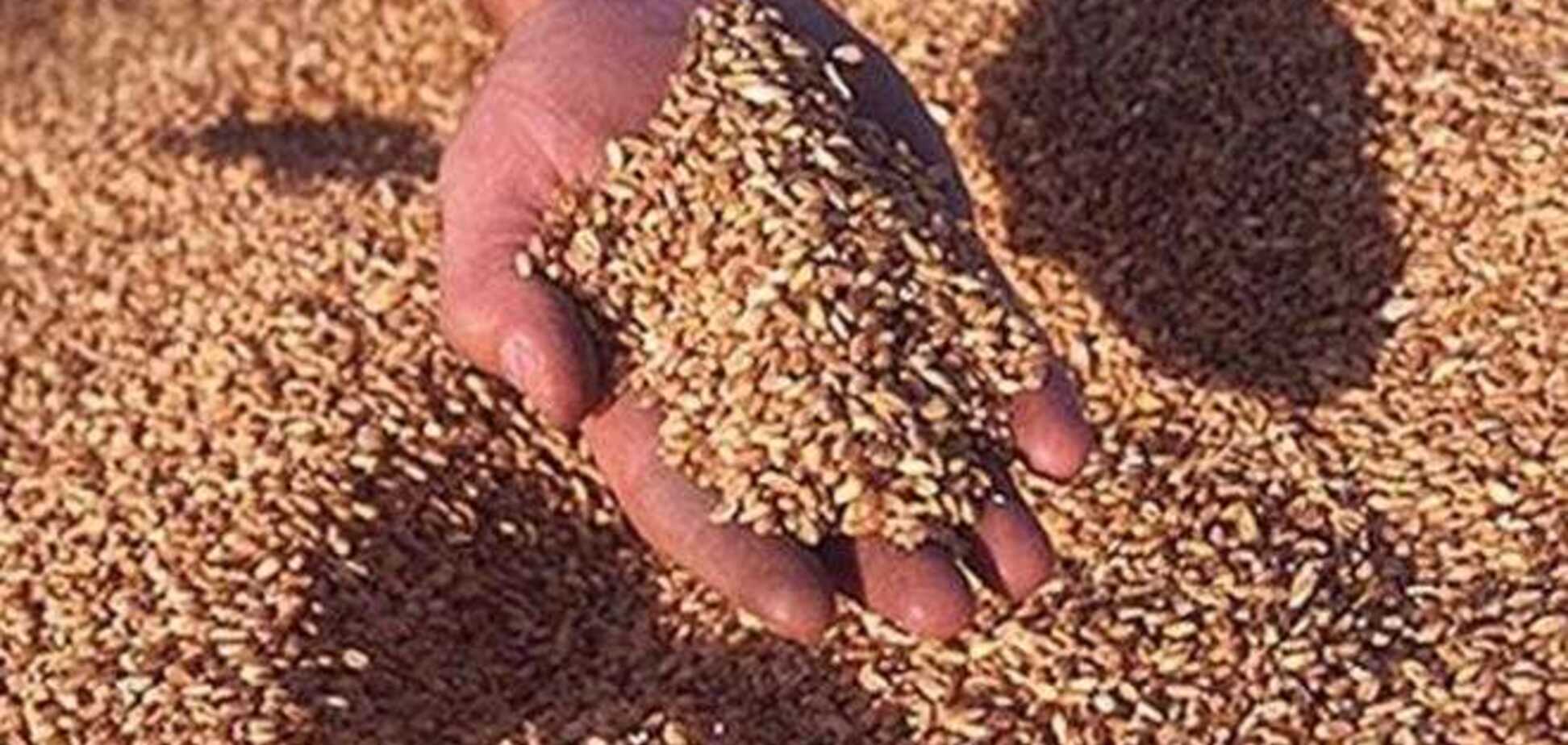 Эксперт рассказал, как отразились на аграриях договоренности с Россией