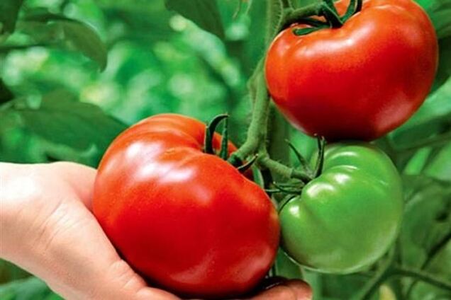 7 продуктов для тех, кому за 40