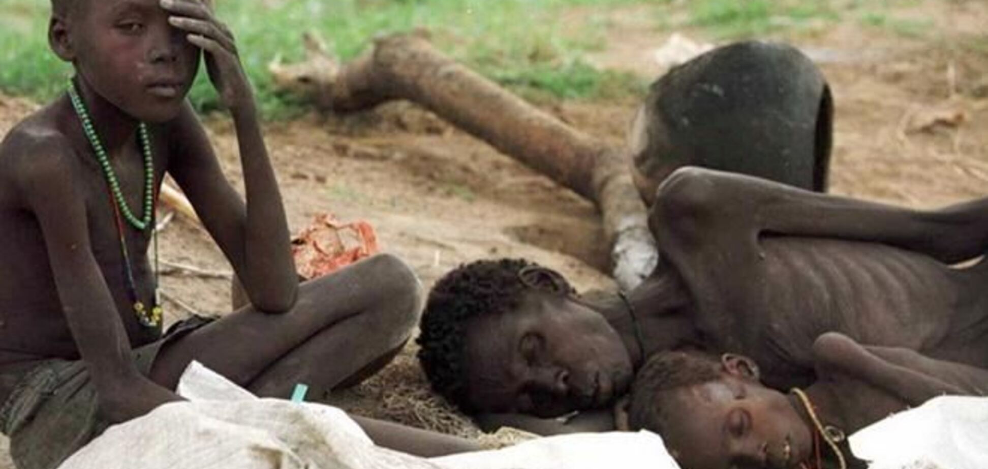 Ключевую роль в преодолении голода в мире может сыграть Украина - Минагрополитики