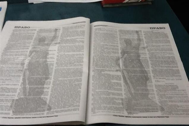 'Голос Украины' опубликовал законы, принятые 16 января, в электронной версии газеты