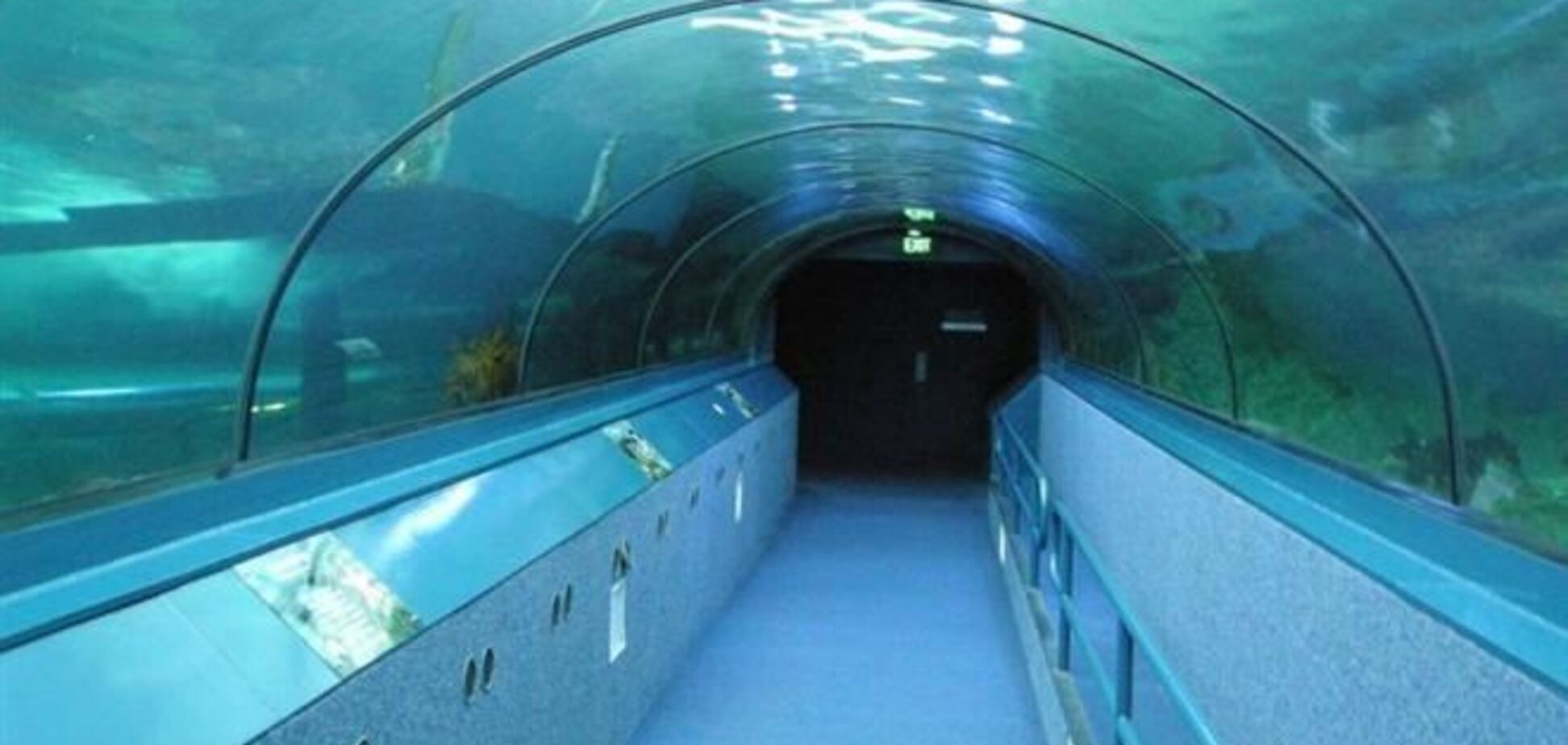 В Австралии открыта первая в мире подводная выставка