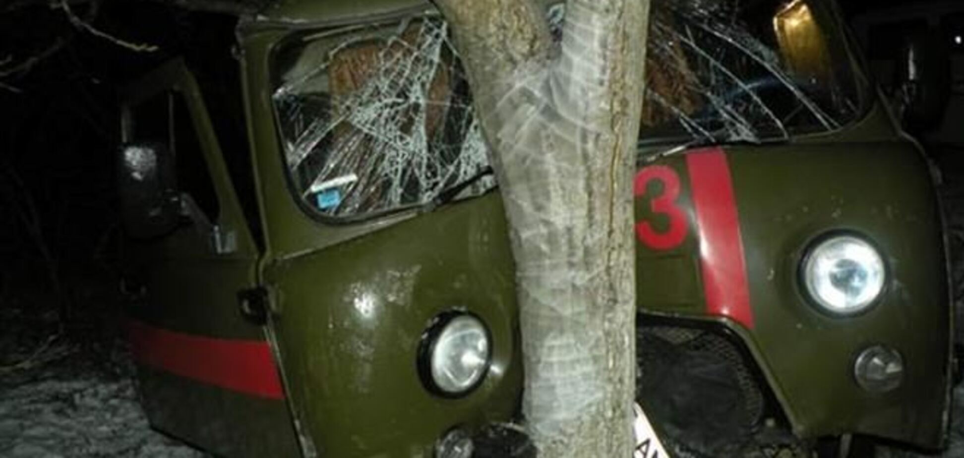 На Николаевщине  'скорая' врезалась в дерево: пять пострадавших