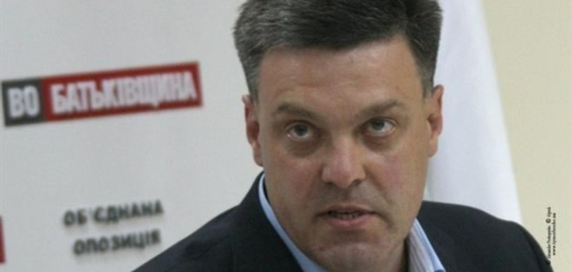 Подписание закона об амнистии незаконно – Тягнибок