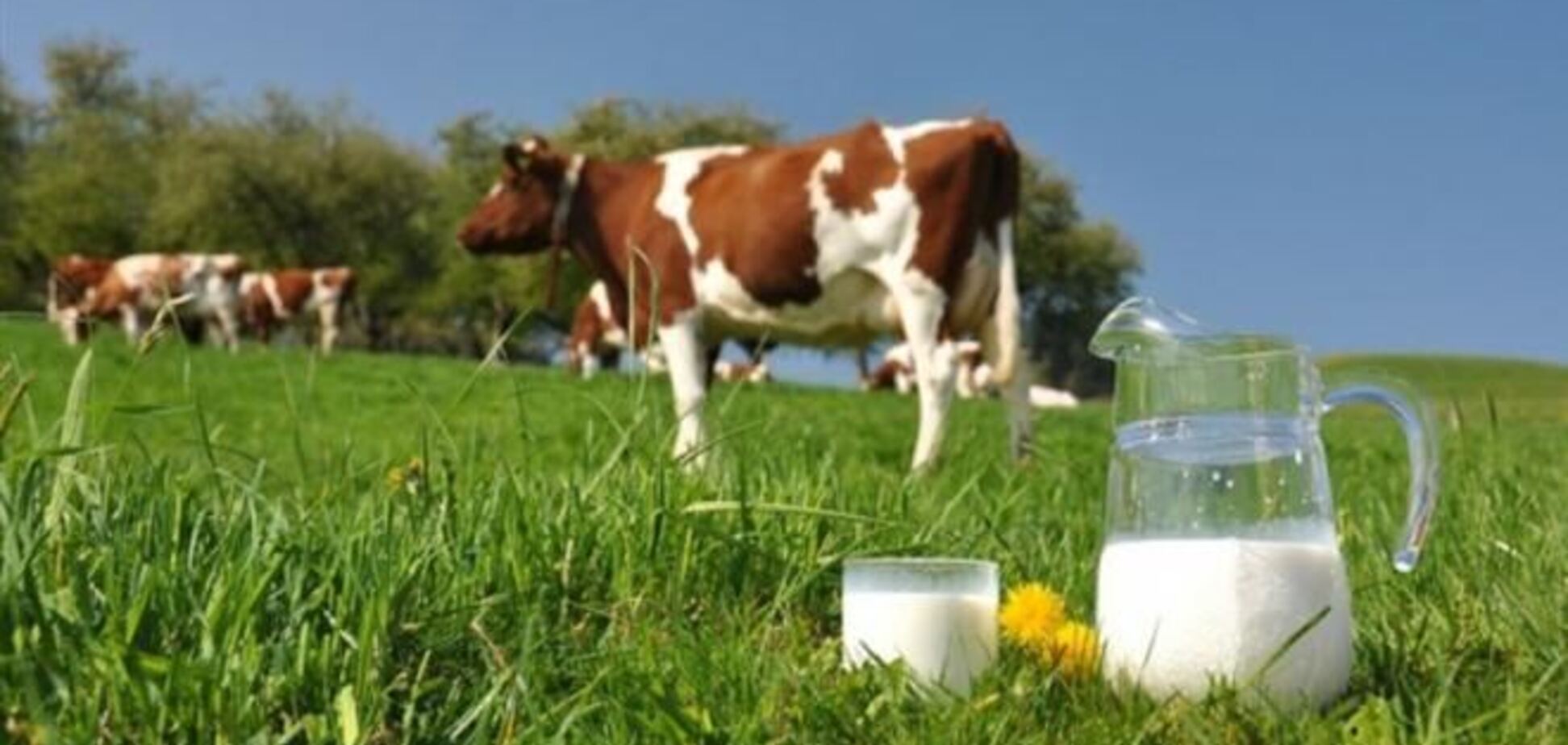 Из-за блокирования работы ряда ОГА могут пострадать аграрии