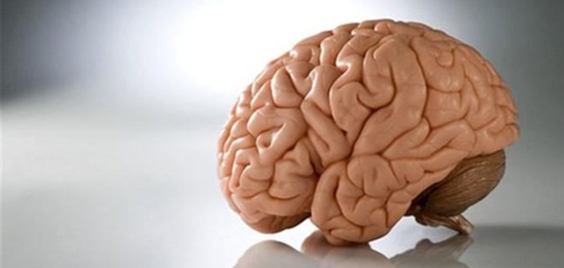 Американець продавав зразки мозку психічно хворих на інтернет-аукціоні