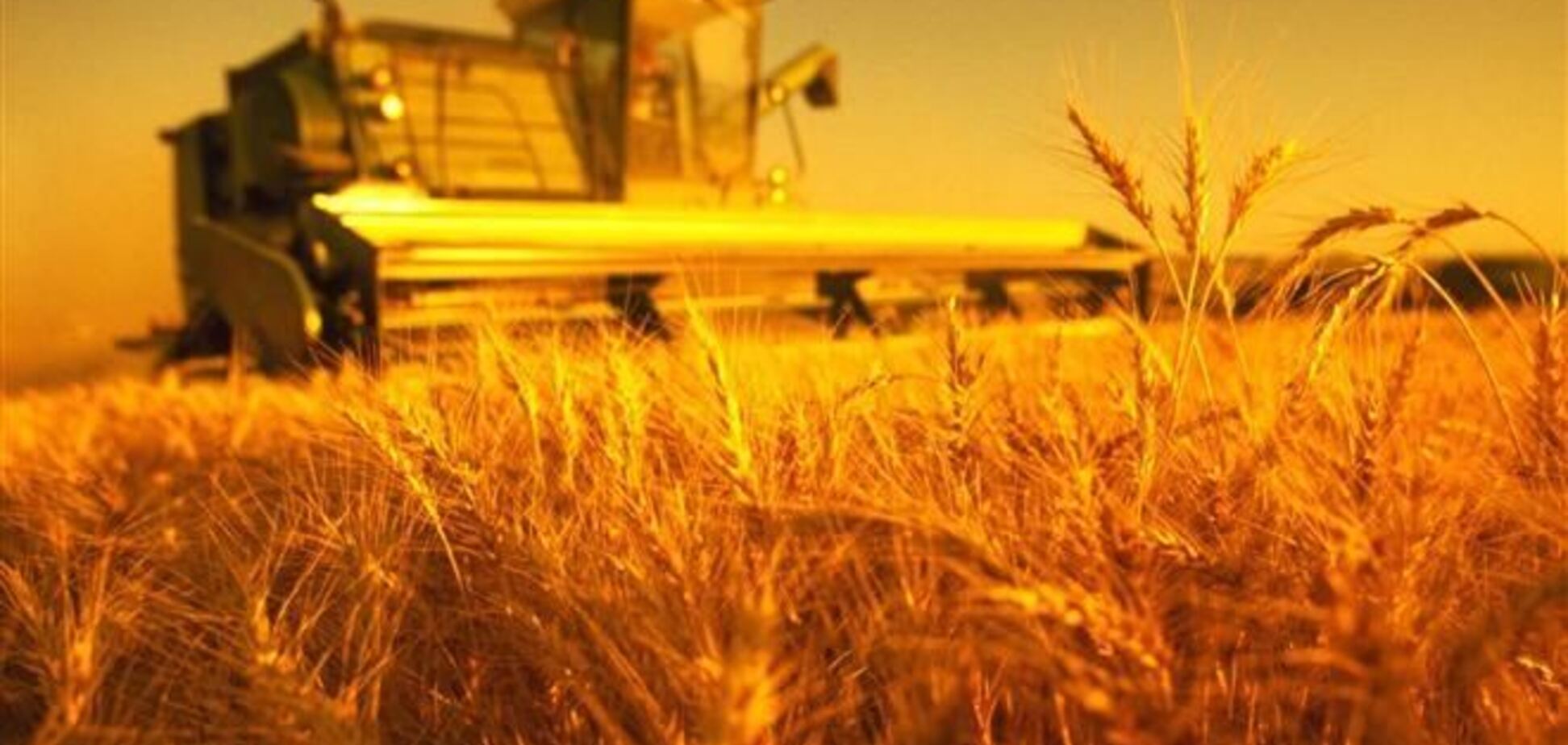 В Украине усилят работу над обеспечением высокого качества сельхозпродукции
