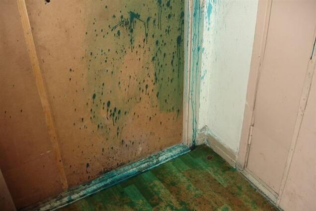 Испачкали зеленкой дверь квартиры организатора Автомайдана