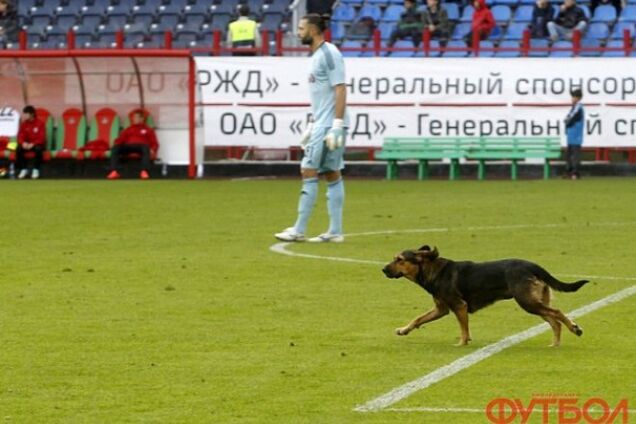 Московский 'Локомотив' наказали из-за собаки