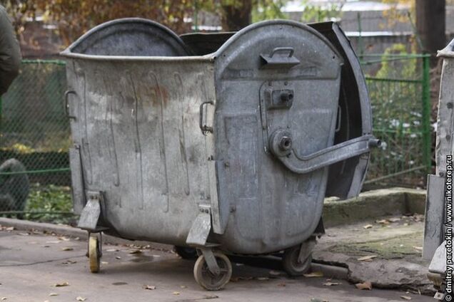 'Мусорными мстителями' руководят Пашинский и Турчинов