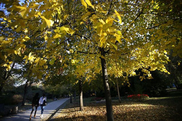 Вот почему я уехал из России в столицу великой, открытой всему миру страны