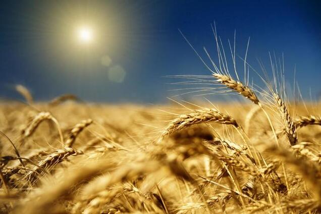 Украина: рост экспорта зерна около 20%, падение экспорта металла около 25%
