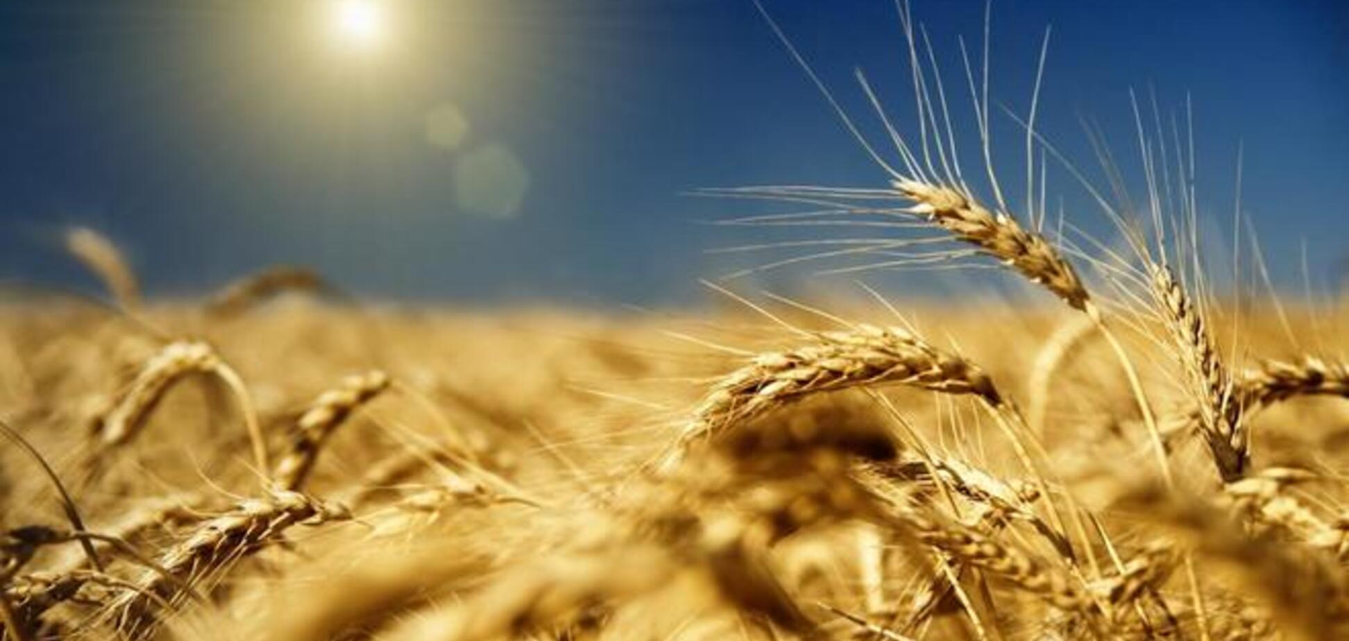 Украина: рост экспорта зерна около 20%, падение экспорта металла около 25%