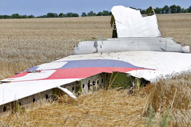 'По доброй воле': 'ДНР' насобирала грузовик вещей с рухнувшего Boeing-777