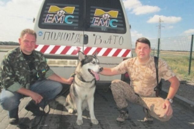 Невероятные истории о верных собаках в зоне АТО