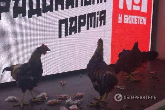 Ляшко в Орджоникидзе встретили избиратели с петухами и матерными плакатами