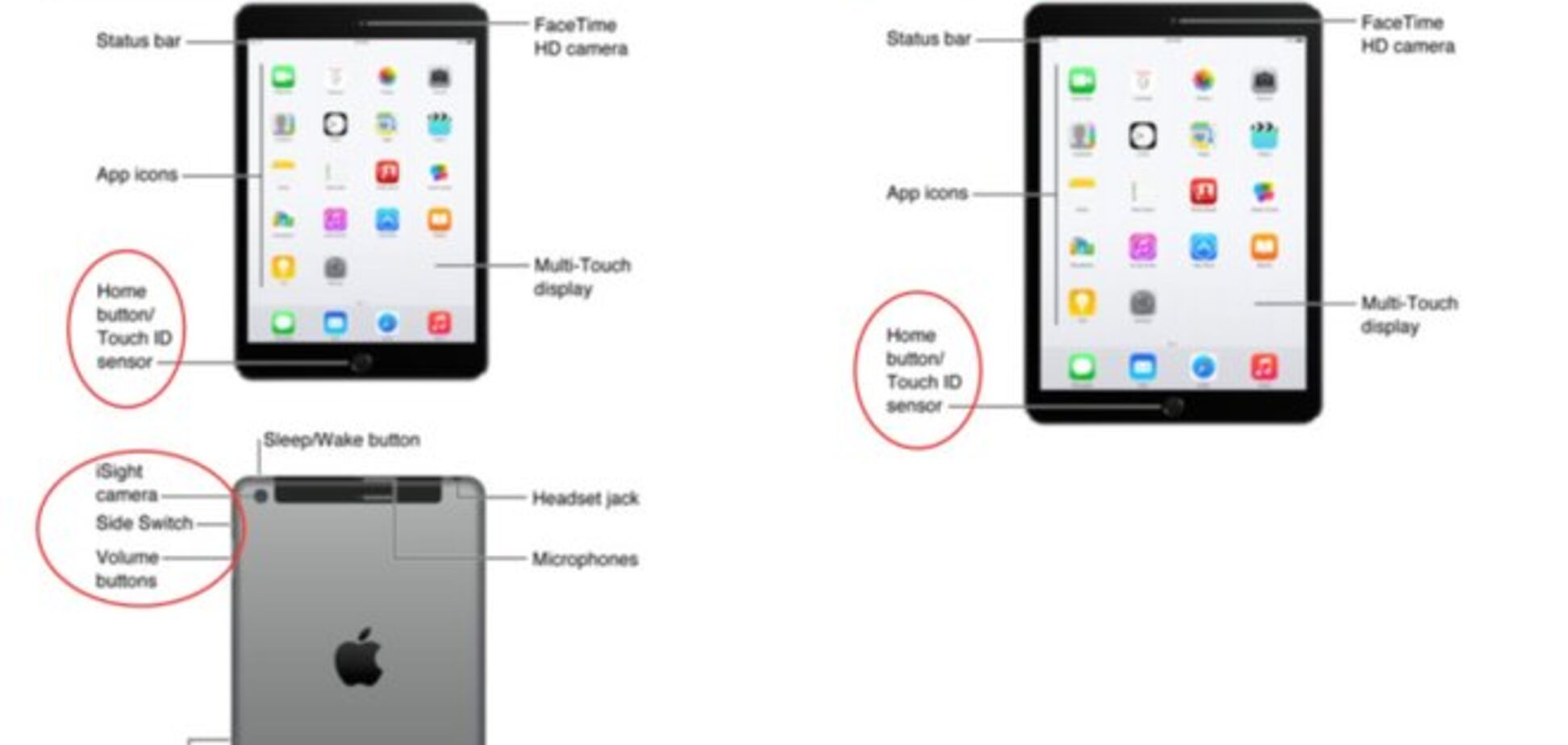 Apple слила в сеть информацию о новых iPad Air 2 и iPad mini 3