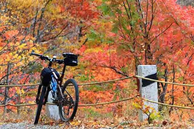 Как научиться наслаждаться выходными