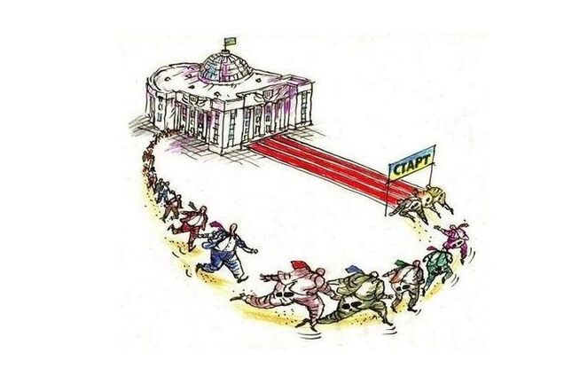 Выборы, выборы. Кандидаты …спортсмены