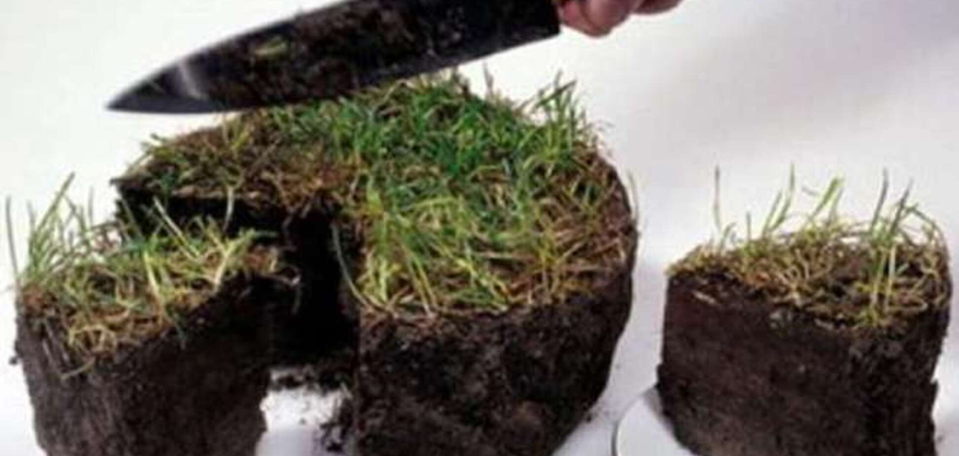 В Україні розпочався перший етап земельної реформи