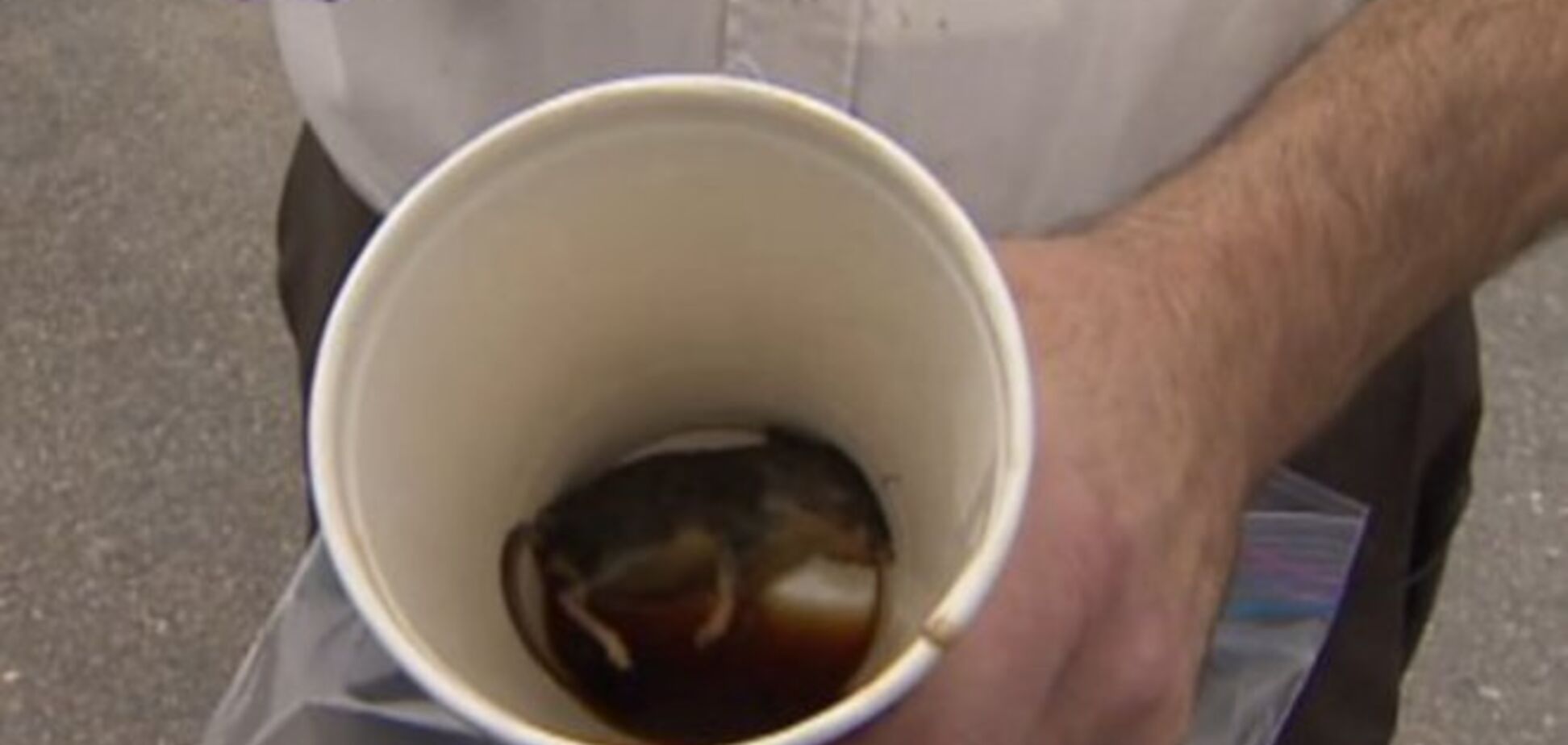 Мужчина нашел мертвую мышь в кофе из McDonald’s: опубликовано фото