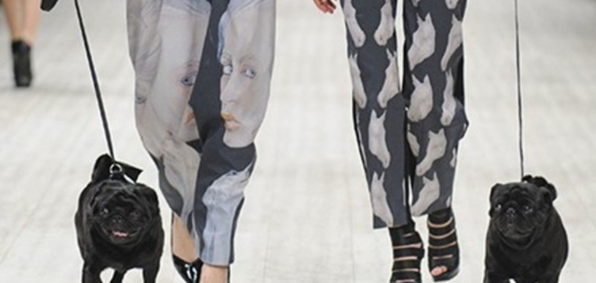 Смешались в кучу кони, люди и собаки - Fresh Fashion в последний день Ukrainian Fashion Week