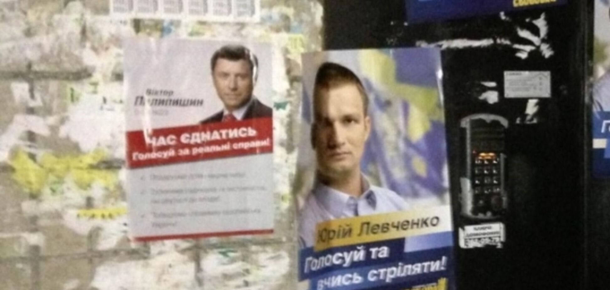 Выборы-2014. Пилипишина поймали на использовании символики Блока Петра Порошенко