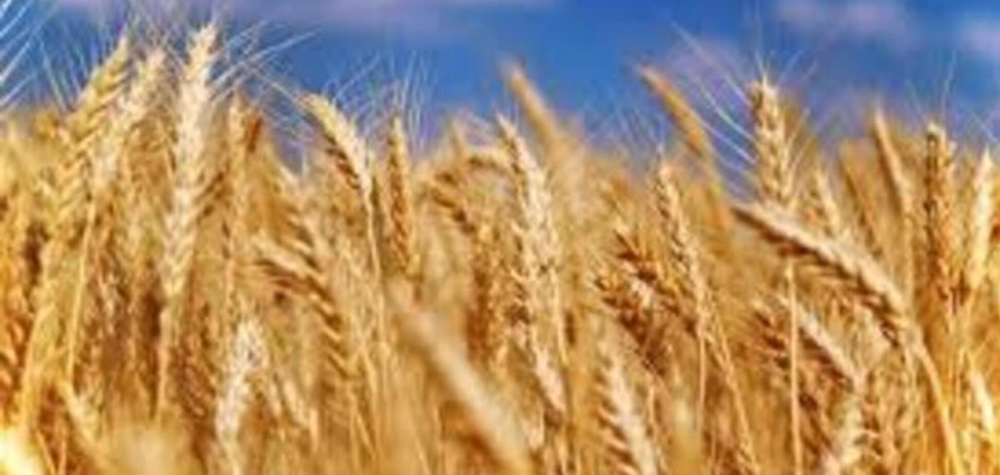 Яценюк запропонував підтримати аграріїв прямими бюджетними дотаціями