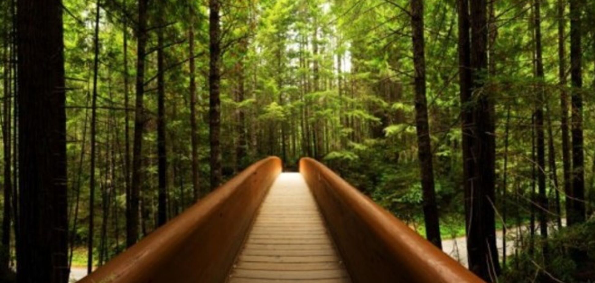 Фотографии, которые заставят вас забыть обо всех проблемах