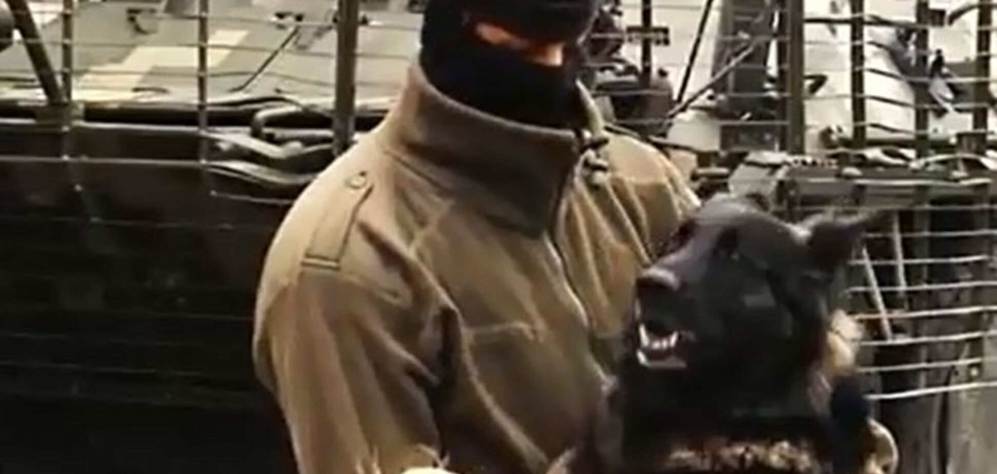 Верные и смелые. В зоне АТО служат собаки-гвардейцы