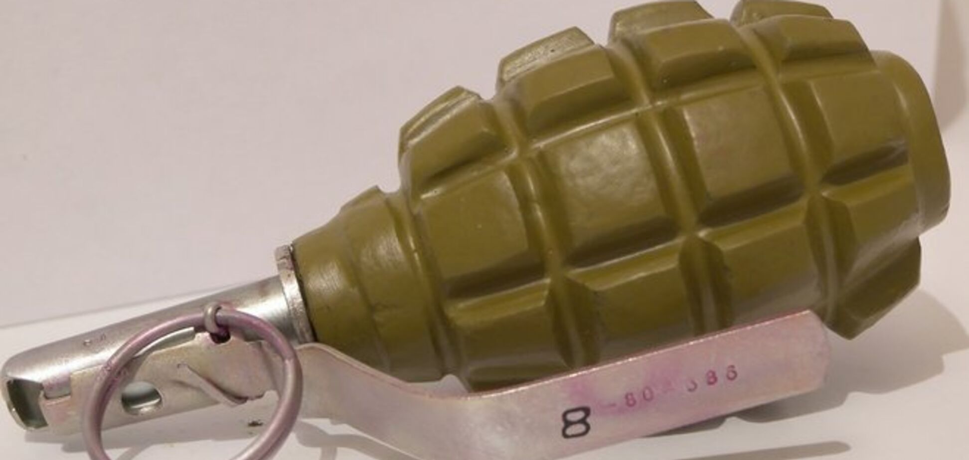 На Донбассе наблюдатель явился на участок с гранатой