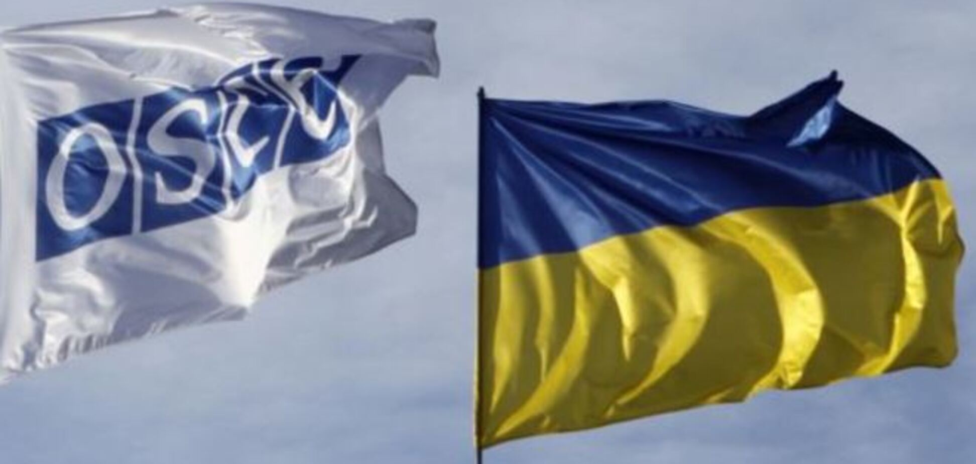 ОБСЕ назвала парламентские выборы в Украине демократическими 
