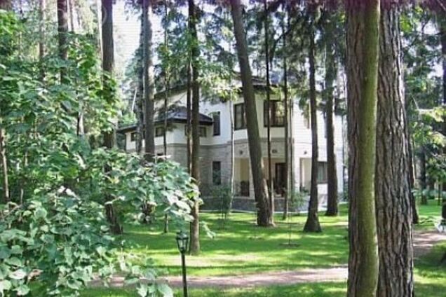 В госсобственность вернули 2,6 га леса, принадлежавшие Януковичу